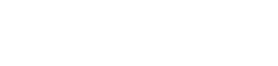 Bimordiscos